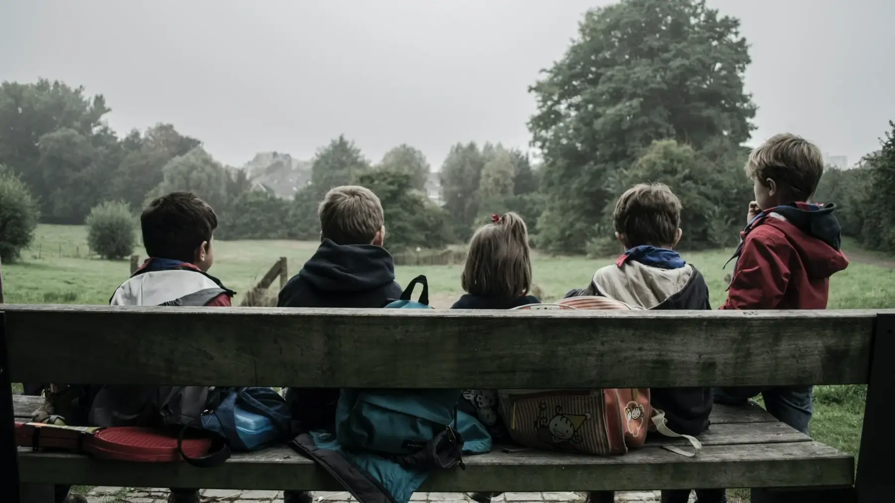 Neurodiversidade: crianças estão sentadas em um banco e observam um campo verde a frente delas