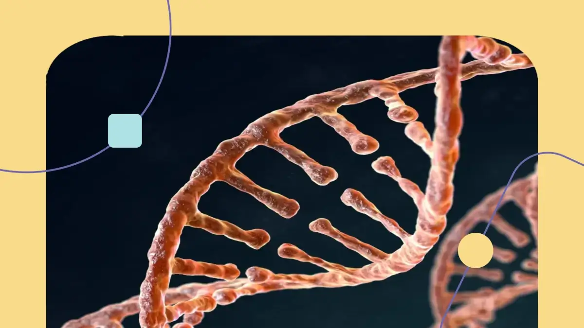 Genes do Autismo: imagem mostra dois DNA's em foto ampliada de telescópio.
