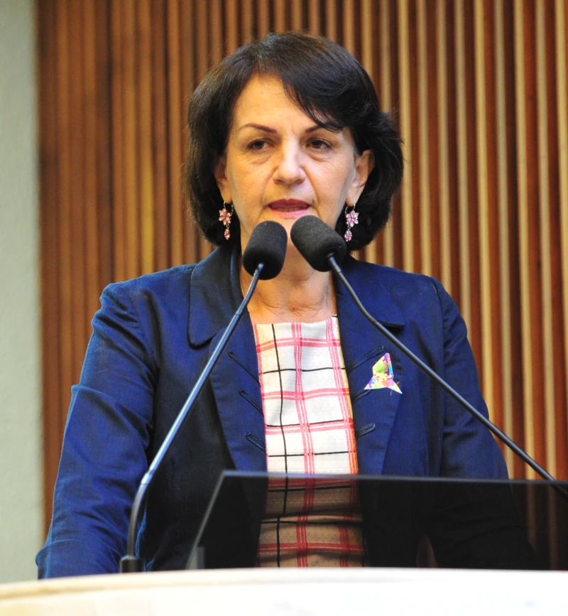 Berenice Piana, falando em público.